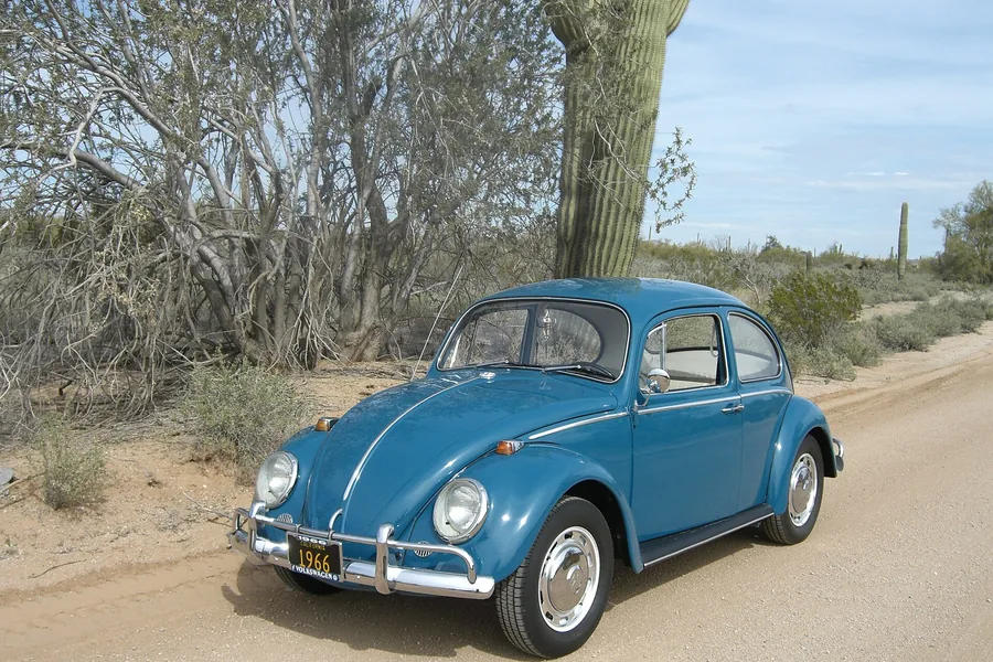 Two inspected classic Volkswagens parked outside the shop in late afternoon light.